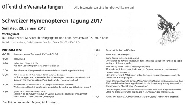 PDF von 11,3 MB