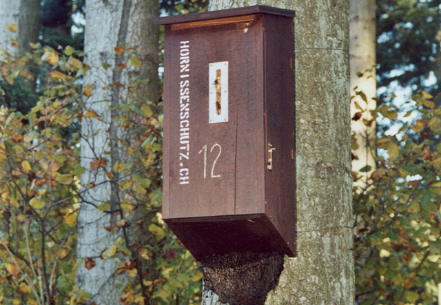 hornissenkasten 12: 2006 Hornissenkasten 12: 2006