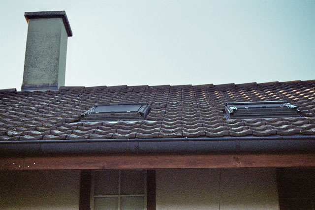 Hornissennest im Zwischendach neben Dachflchenfenster