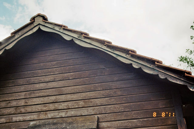 Hornissennest in Schiessstanddachstock