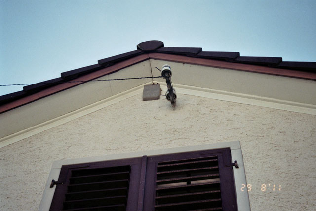 Hornissennest in Zwischendach