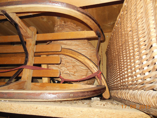 Hornissennest in Abstellraum