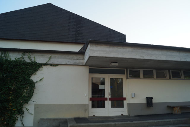 Hornissennest in Dachhohlraum