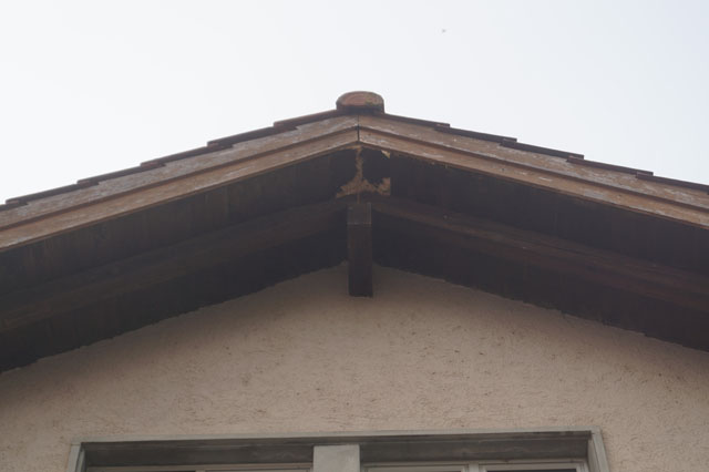 Hornissennest in Dachuntersicht