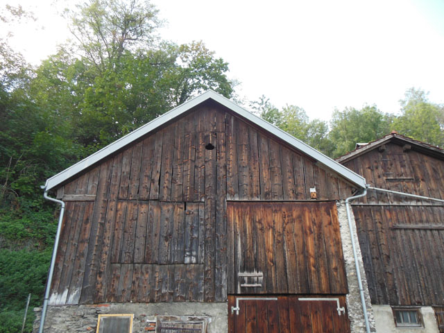 Hornissennest in Scheunendachstock
