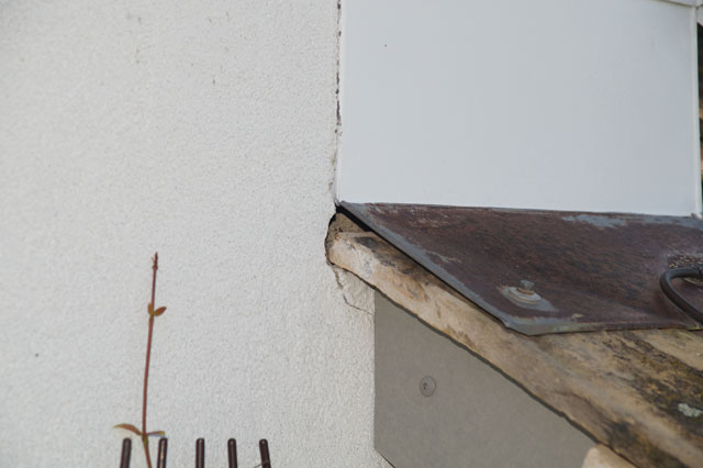 Hornissennest in Dachuntersicht