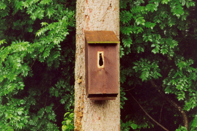 hornissenkasten3: 2001 Hornissenkasten 3: 2001