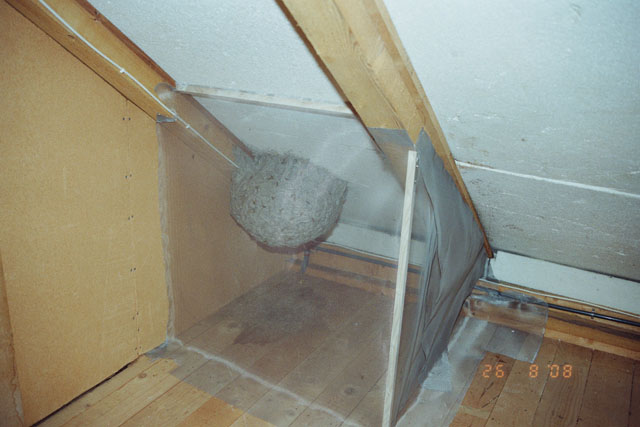 26.08.2008
