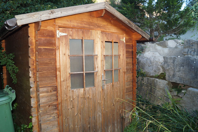Gemeine Wespe in Gartenhuschen