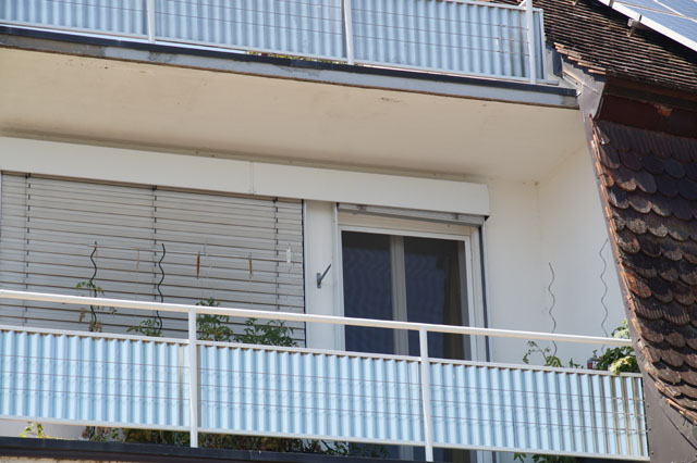 Gemeine Wespe in Deckenhohlraum