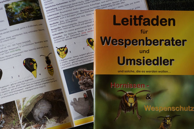 leitfaden für wespenberater und umsiedler; j.-e. ahlborn u. p. tauchert Leitfaden für Wespenberater und Umsiedler; J.-E. Ahlborn u. P. Tauchert